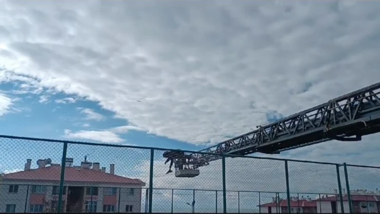 Van'da halı sahanın yan ağlarına takılan karga kurtarıldı