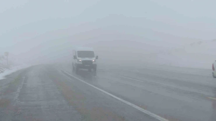 Van'da Kurubaş ve Güzeldere Geçidi'nde sis etkili oldu