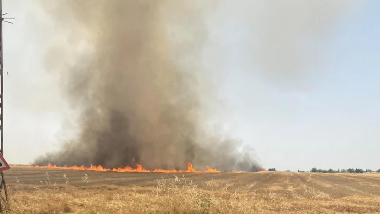 Yerleşim alanına yakın çıkan yangın söndürüldü